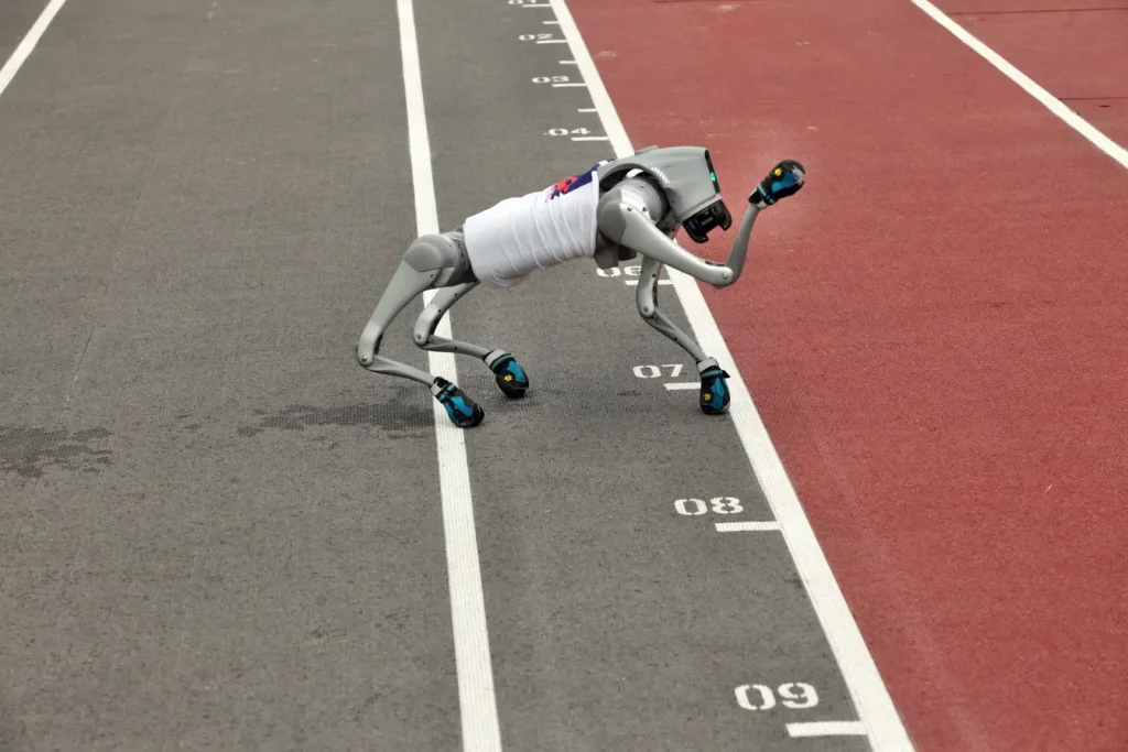 Fot. Adam Stępień – Europejskie Onkoigrzyska Dzieci i Młodzieży 2025, Wrocław