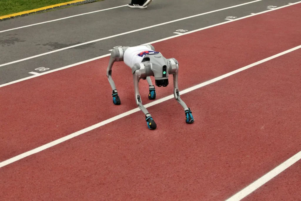 Fot. Adam Stępień – Europejskie Onkoigrzyska Dzieci i Młodzieży 2025, Wrocław